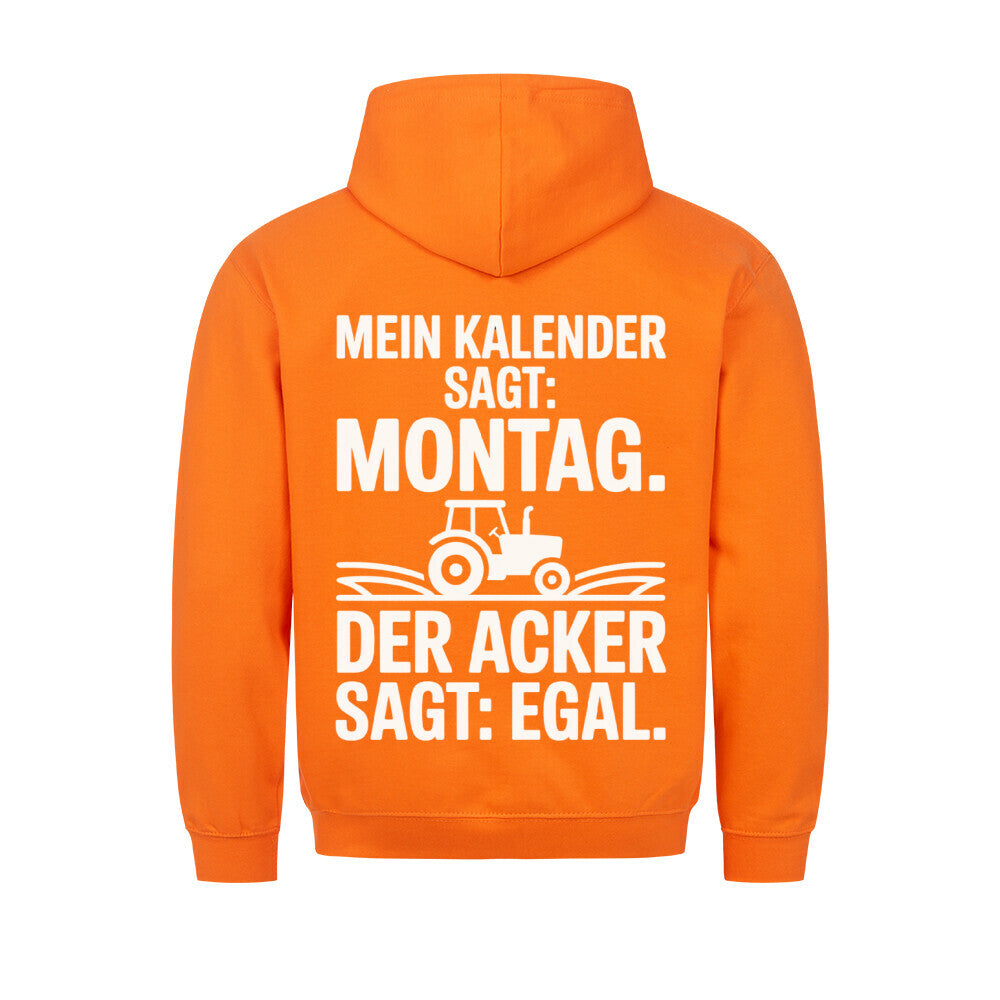 Image for color: orange