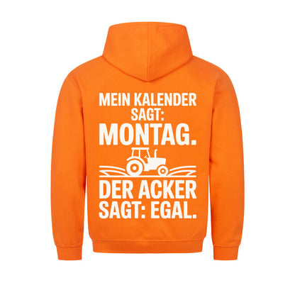 Image for color: orange